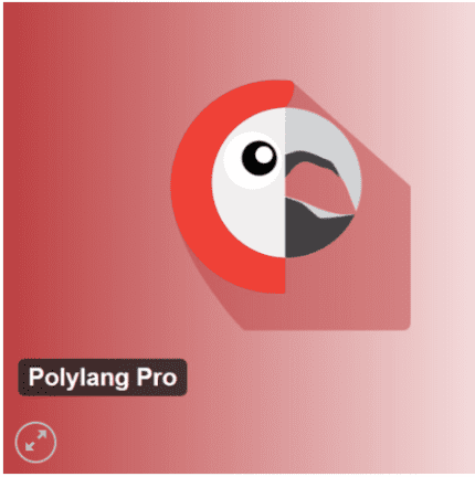 Polylang Pro